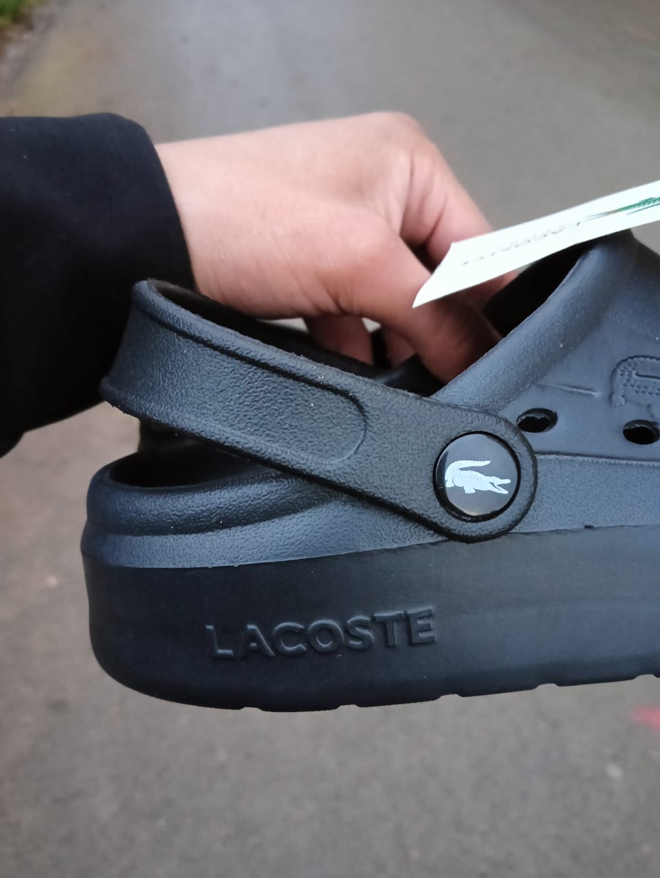 Crocs Lacoste Original